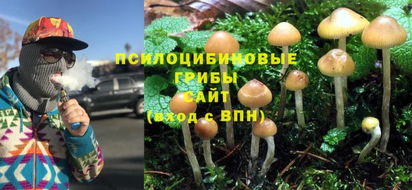 прущие грибы Красноперекопск