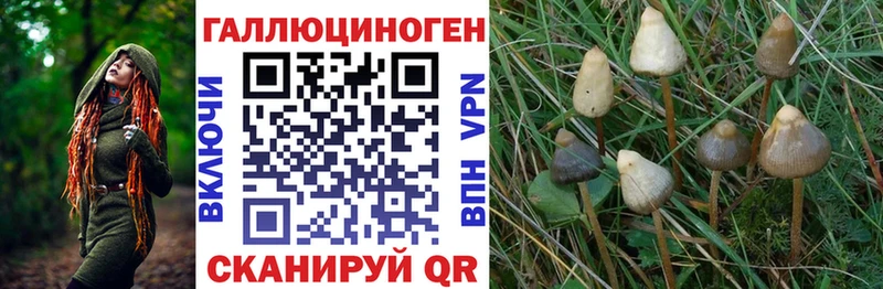 Галлюциногенные грибы прущие грибы  Купить где  Балтийск 